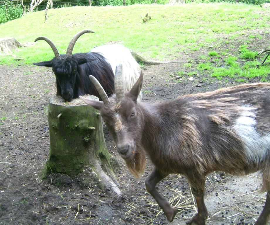 Farm Stay Heidehof ヘレンタール エクステリア 写真