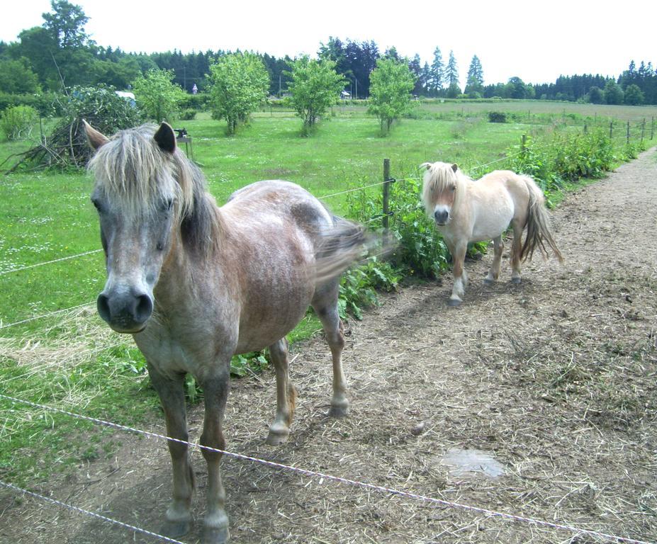 Farm Stay Heidehof ヘレンタール エクステリア 写真