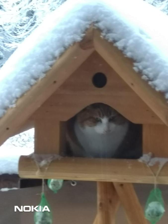 Farm Stay Heidehof ヘレンタール エクステリア 写真