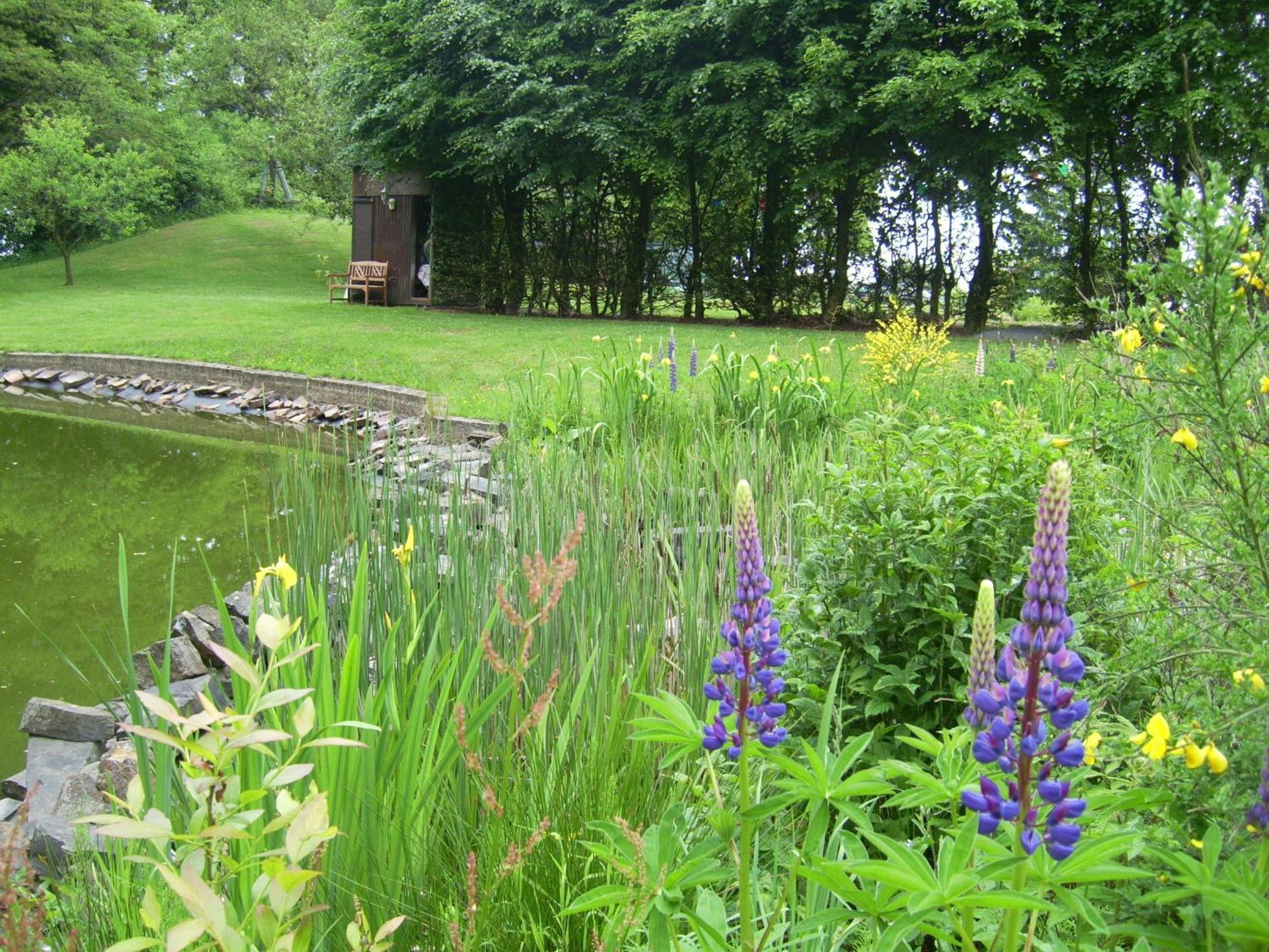 Farm Stay Heidehof ヘレンタール エクステリア 写真